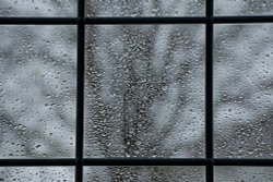 Budleigh has rain Wallpaper