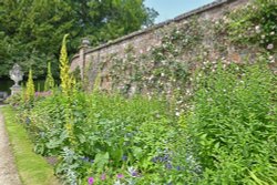 Polesden Lacy Garden Wallpaper