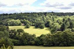 Polesden Lacy, view of the Downs from the Nun's Walk Wallpaper