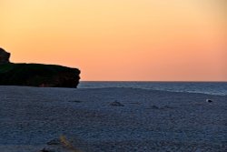 Ottermouth Sunrise Wallpaper