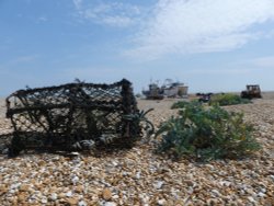 Dungeness Wallpaper