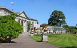 Bicton Park Wallpaper