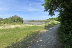 Gillingham Country Park Wallpaper