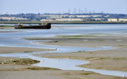 Gillingham Country Park Wallpaper