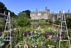 Walmer Castle - kitchen garden