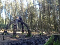 Creative woodland Wallpaper