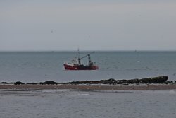 Budleigh Salterton- Ottermouth Wallpaper