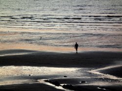 Tide out, sun setting Wallpaper