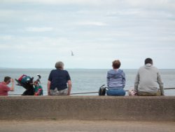 Enjoying the view - Minehead seafront Wallpaper