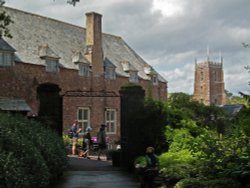 From the garden Wallpaper