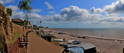 Budleigh in the sun Wallpaper