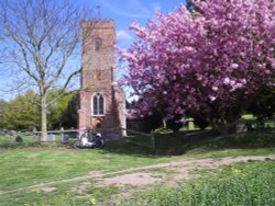 Cherry Blossom Time. Carlton Wallpaper