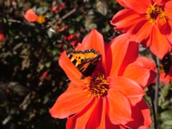 Isle of Arran Wallpaper