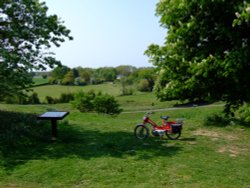 Shotesham Village Green Wallpaper