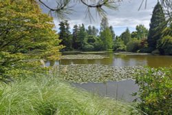 Sheffield Park Garden