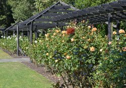 Whitstable Castle and Gardens Wallpaper