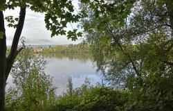 Leybourne Lakes Country Park Wallpaper