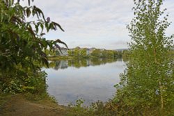 Leybourne Lakes Country Park Wallpaper