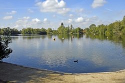 Leybourne Lakes Country Park Wallpaper
