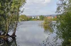 Leybourne Lakes Country Park Wallpaper