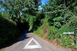 Knowle Dark Lane Wallpaper