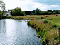 Sudbury Suffolk Wallpaper