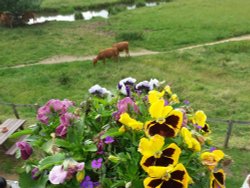 Sudbury Suffolk Wallpaper