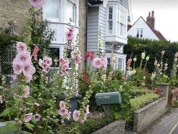 Walberswick Wallpaper