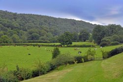 Sleightholmedale Lodge Farm, Fadmoor