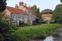 Sinnington Wallpaper