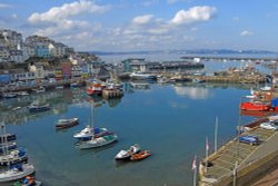 Brixham Harbour Wallpaper