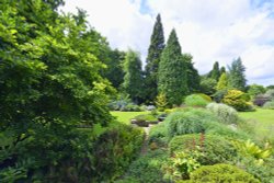 Great Comp Garden Wallpaper