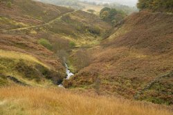 Wildmoorstone Brook near Buxton, Derbyshire Wallpaper