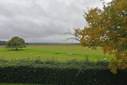 Boscobel House - view from gaarden Wallpaper
