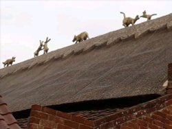 Walberswick Wallpaper
