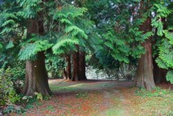 Ramster Gardens,  Chiddingfold Wallpaper