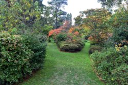 Ramster Gardens, Chiddingfold Wallpaper