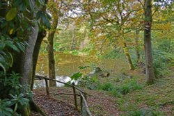 Ramster Gardens,  Chiddingfold Wallpaper