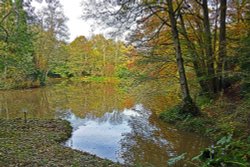 Ramster Gardens,  Chiddingfold Wallpaper