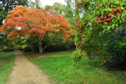 Ramster Gardens,  Chiddingfold Wallpaper