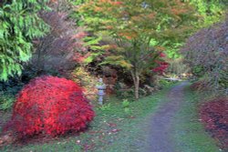 Ramster Gardens, Chiddingfold Wallpaper