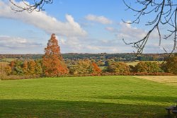 Emmetts Garden Wallpaper