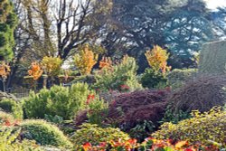 Emmetts Garden Wallpaper