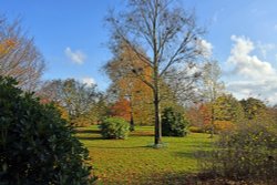 Emmetts Garden Wallpaper