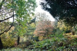 Emmetts Garden Wallpaper