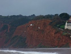 Budleigh cliffs Wallpaper