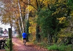 North Dorset Trailway Wallpaper