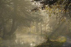 Morning Mist on the Caldon Canal at Longsdon, Staffordshire Wallpaper