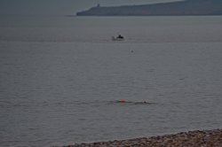 Budleigh swimmers Wallpaper