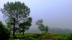 Otter Valley Wallpaper